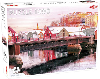 Nidelva in Trondheim - Puzzel (1000)