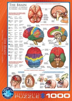 The Brain - Puzzel (1000)