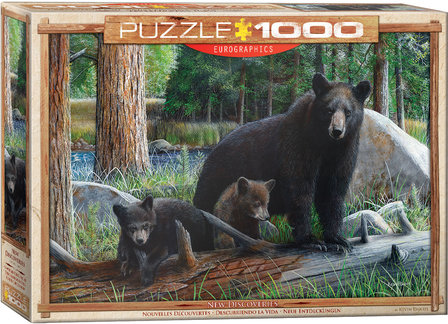 New Discoveries - Puzzel (1000)