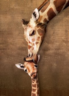 Giraffe Mother&#039;s Kiss - Puzzel (1000)