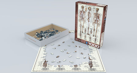 The Skeletal System - Puzzel (1000)