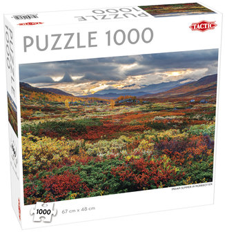 Indian Summer in Norrbotten - Puzzel (1000)