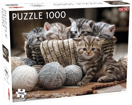 Kittens - Puzzel (1000)