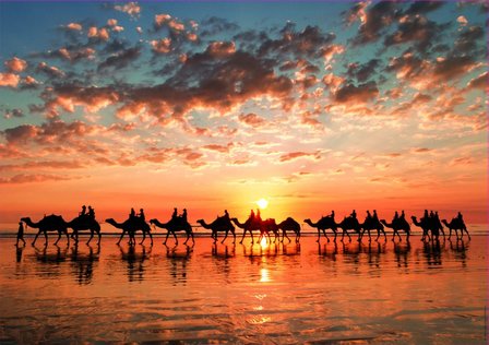 Golden Sunset on Cable Beach, Australia - Puzzel (1000)