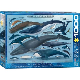 Whales &amp; Dolphins - Puzzel (1000)