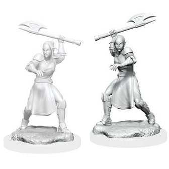 Critical Role Unpainted Miniatures: W1 Half-Elf Echo Knight &amp; Echo