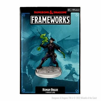 D&amp;D Frameworks: Human Rogue Female