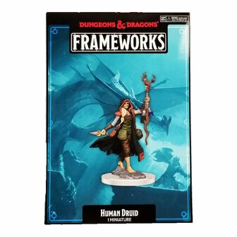 D&amp;D Frameworks: Human Druid Female