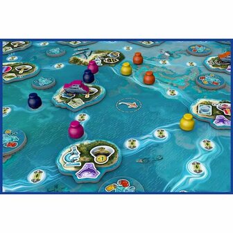 Reef Project - Strategic Board Game by Board &amp; Dice