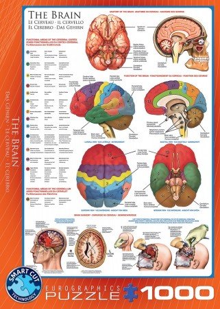 The Brain - Puzzel (1000)