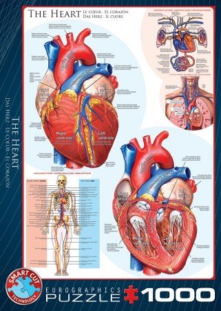 The Heart - Puzzel (1000)