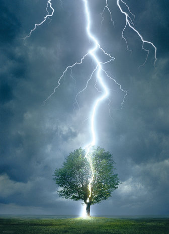 Lightning Striking Tree - Puzzel (1000)