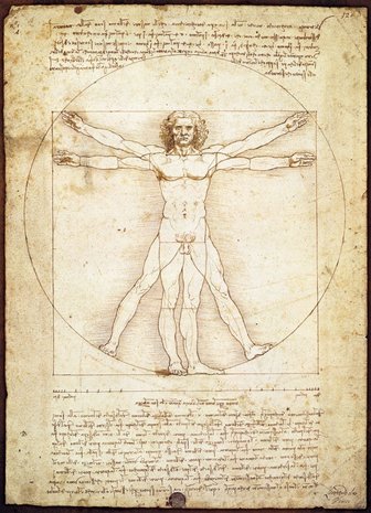 The Vitruvian Man, Leonardo da Vinci - Puzzel (1000)