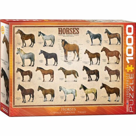 Horses - Puzzel (1000)