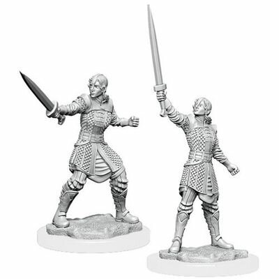 Critical Role Unpainted Miniatures: W1 Human Dwendalian Empire Fighter