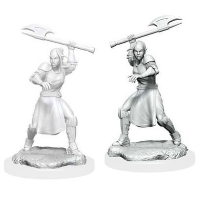 Critical Role Unpainted Miniatures: W1 Half-Elf Echo Knight & Echo