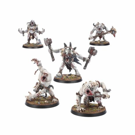 Warhammer: Age of Sigmar - Warcry: Gorger Mawpack