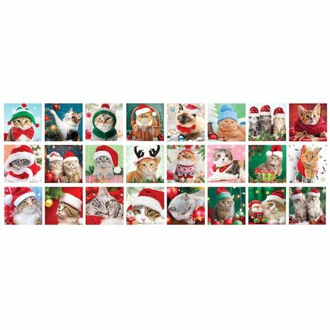 Adventskalender met puzzels: Christmas Whiskers - kerst katten