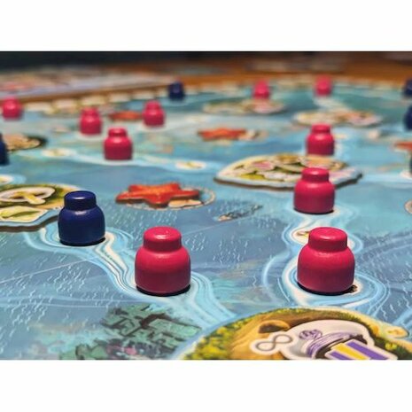 Reef Project - Strategic Board Game by Board & Dice