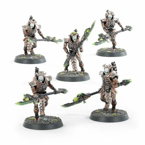 Necrons: Hypercrypt Legion